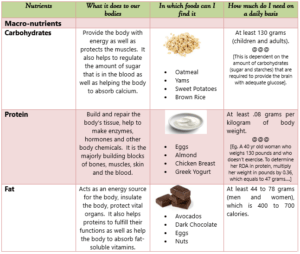 macro nutrients meaning macro nutrients meaning