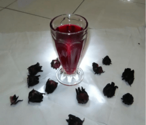 Jamaican Sorrel Drink Recipe