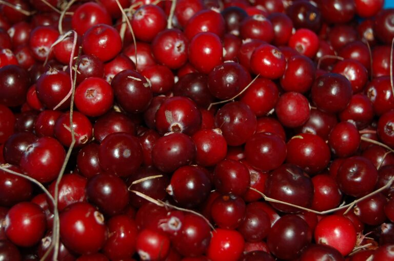 Health Benefits of Cranberry - Social-Ize Your Health - Almondsandolivez.com