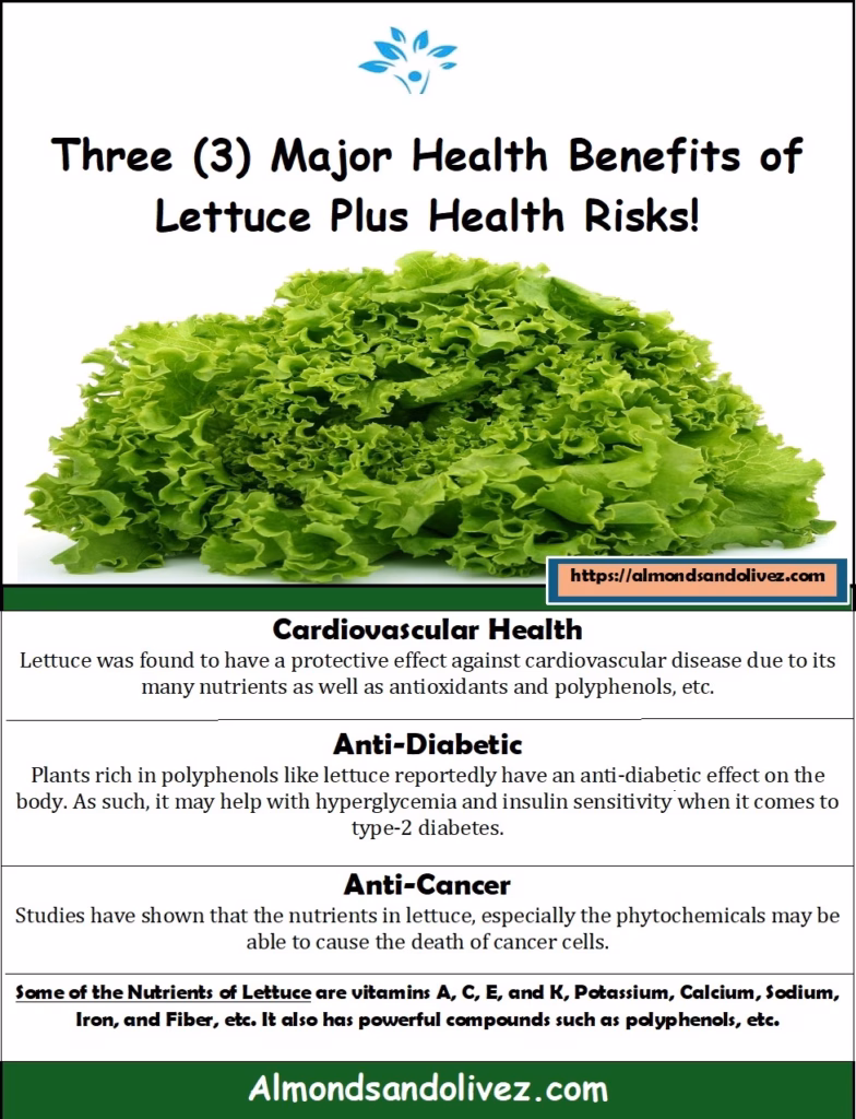Illustrative Summary - Lettuce Health Benefits and Risks - Almonds and Olivez