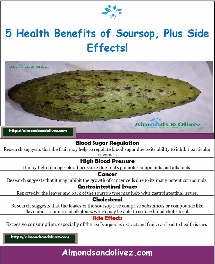 Illustrative Summary - Soursop Benefits and Side Effects - Almonds and Olivez