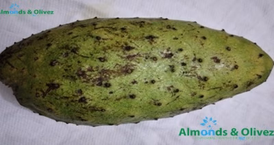 Soursop Benefits - Almond and Olivez - Copyright