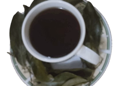 Soursop leaf tea - Almonds and Olivez - Corpyrighted