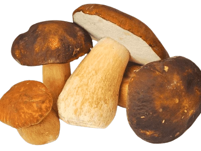 Top functional foods of 2026 and beyond - Backed by science - Almondsandolivez.com