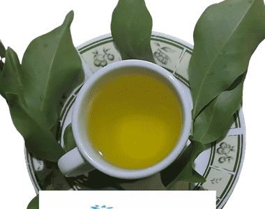 Guinep leaf tea - benefits, precautions and more - Almonds and Olivez