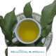 Guinep leaf tea - benefits, precautions and more - Almonds and Olivez