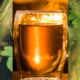 Cerasee Tea Health Benefits and Risks - Almonds and Olivez